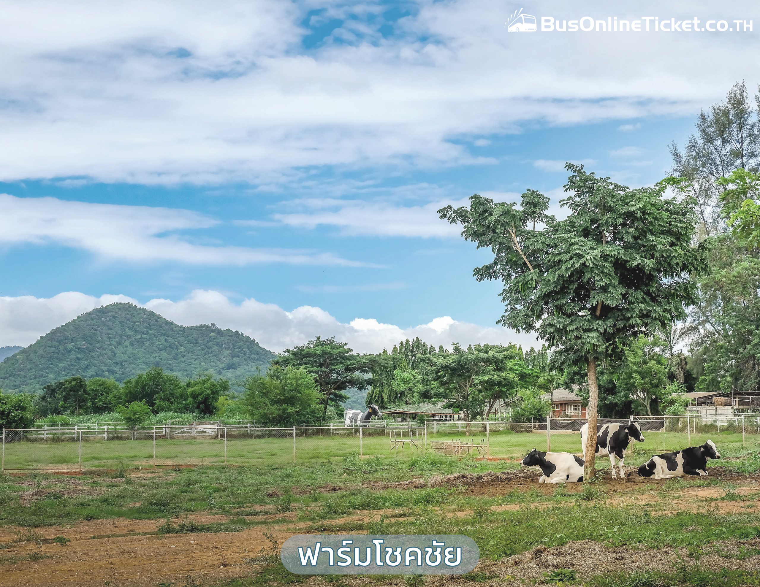 ฟาร์มโชคชัย