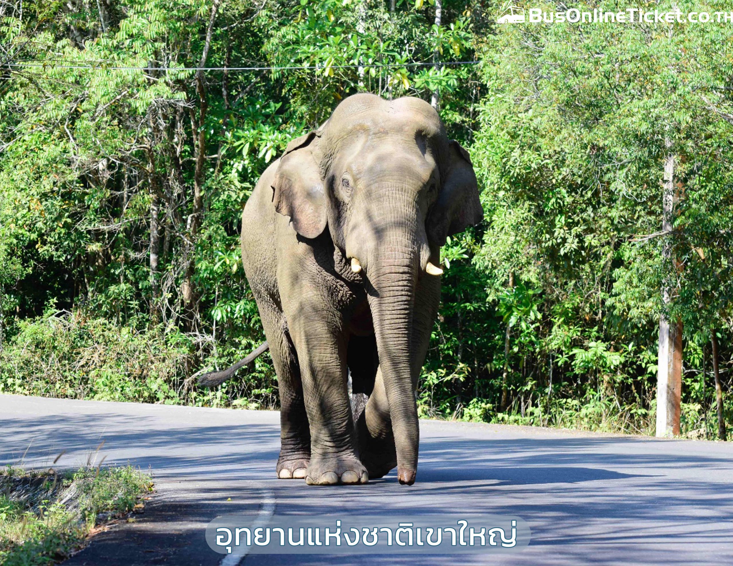 อุทยานแห่งชาติเขาใหญ่