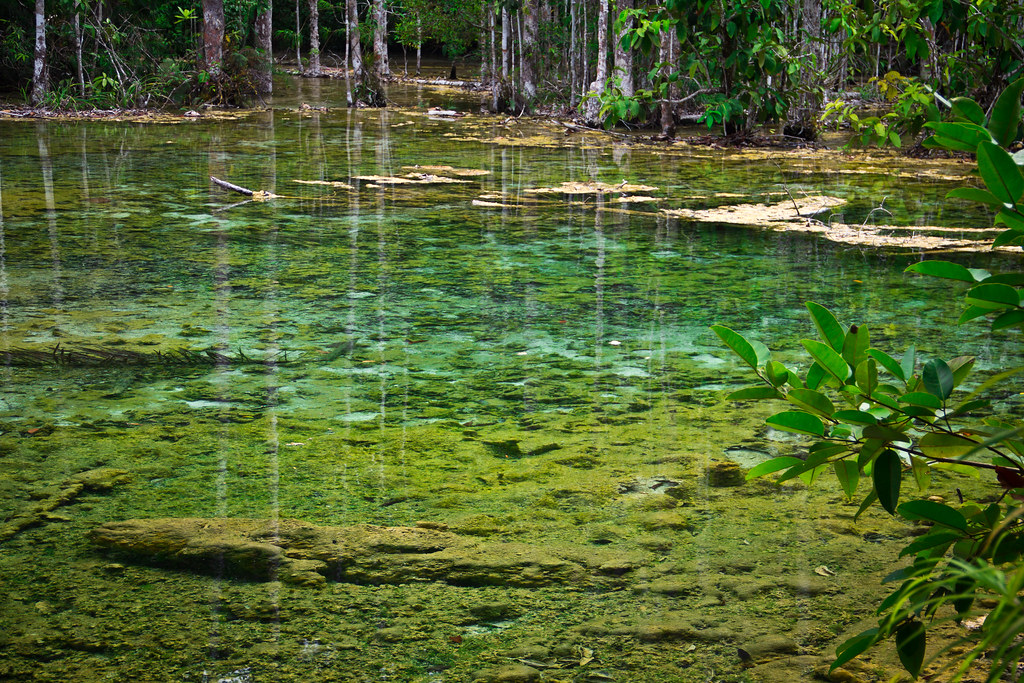 The natural beauty of the Emerald Pool