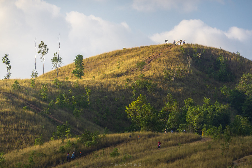 Phu Khao Ya (Mountain Grass)
