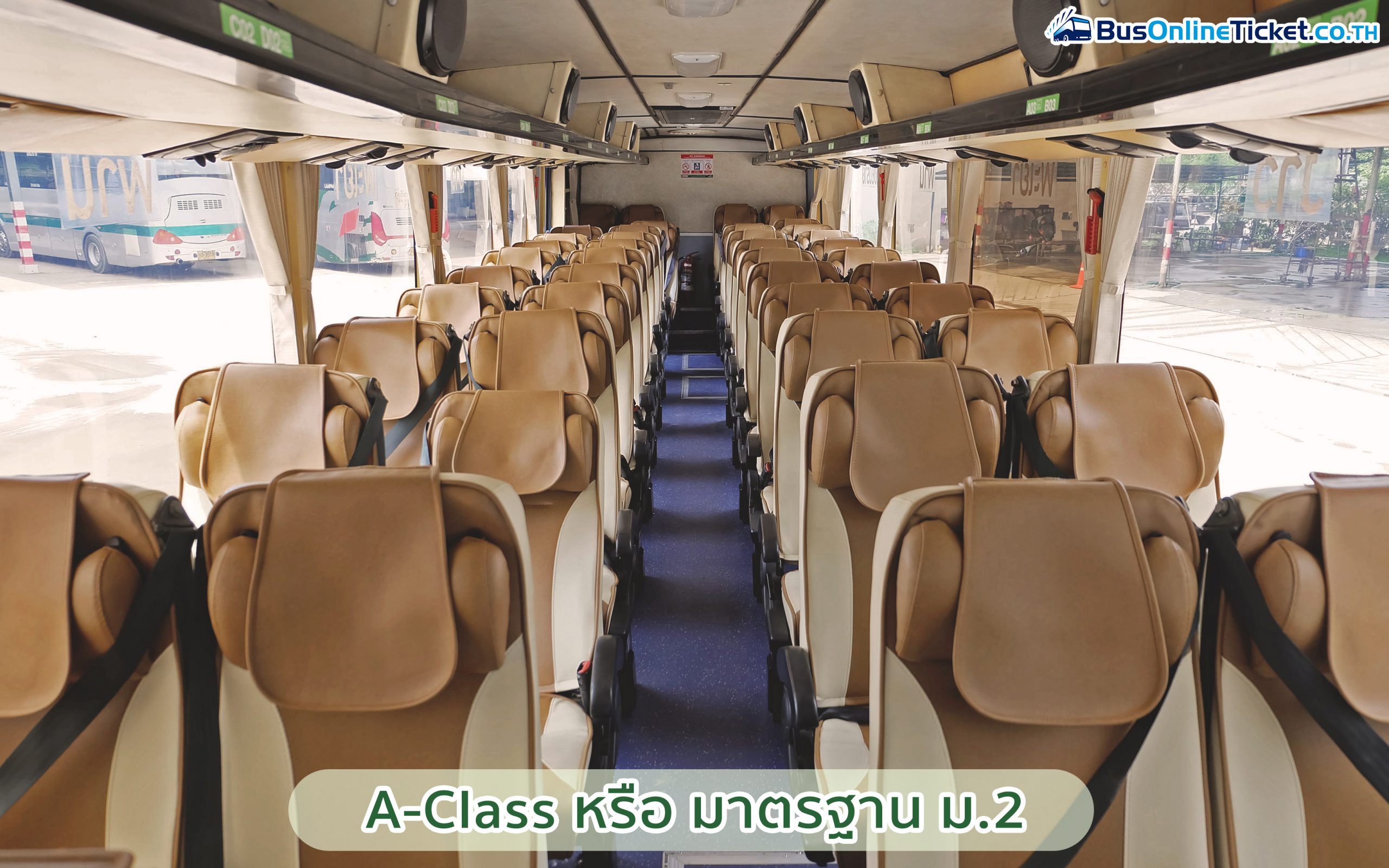 GreenBus 特快大巴
