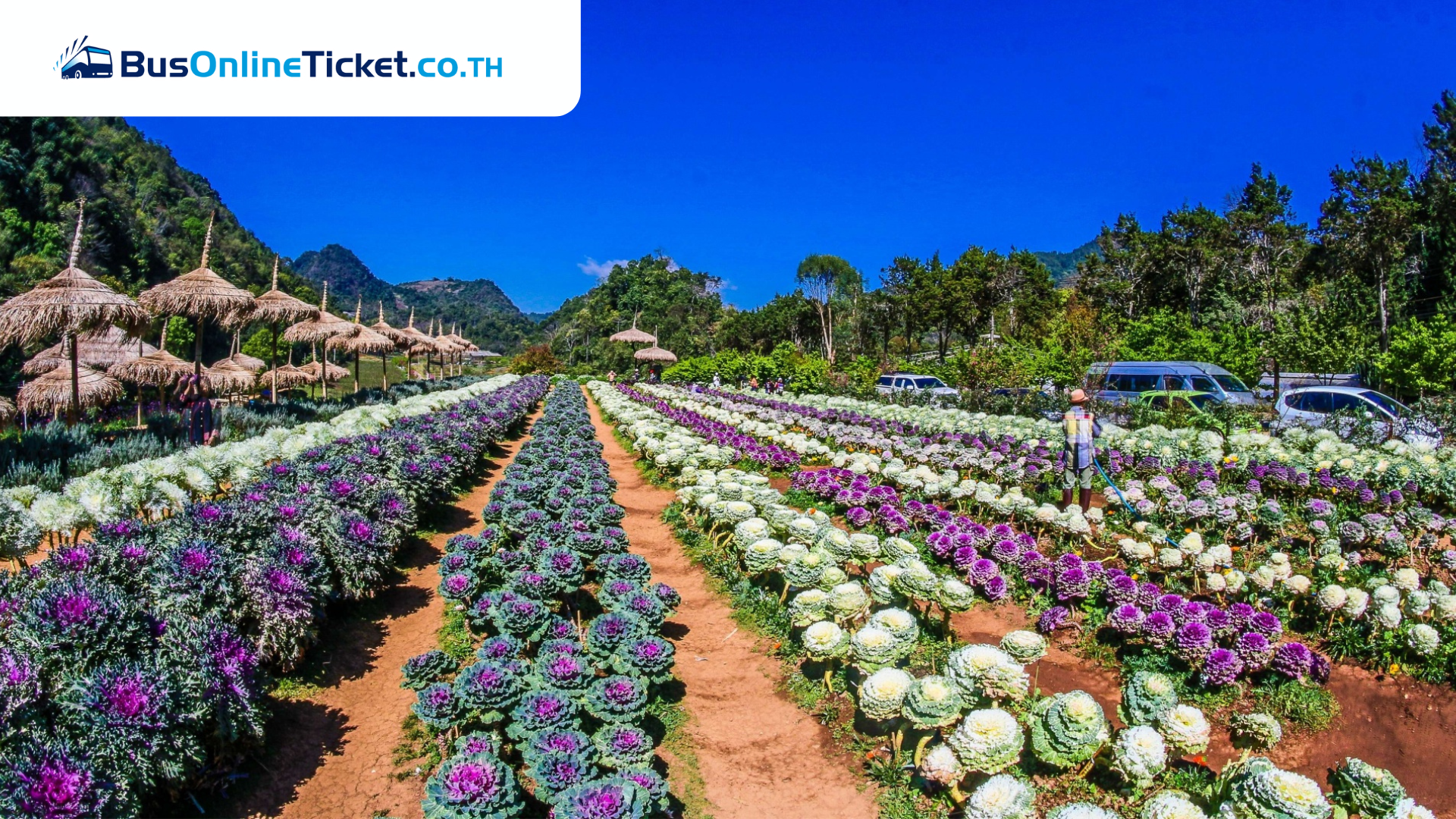 Doi Ang Khang