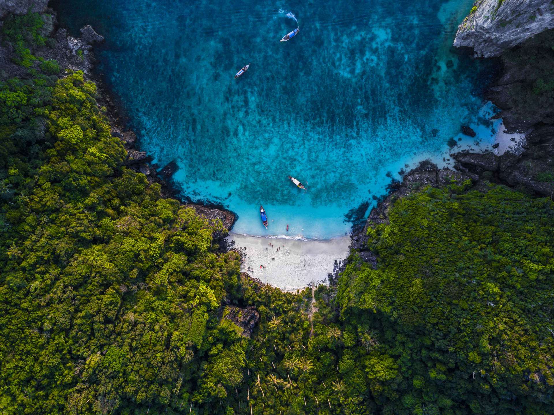 Koh Phi Phi Jungle Beach