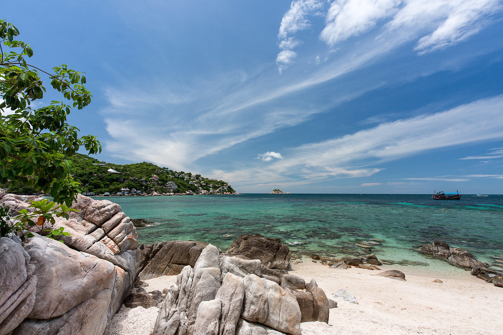Shark Bay Snorkeling Spot