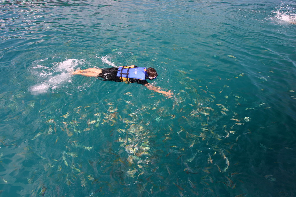 Snorkeler exploring colorful underwater coral reefs