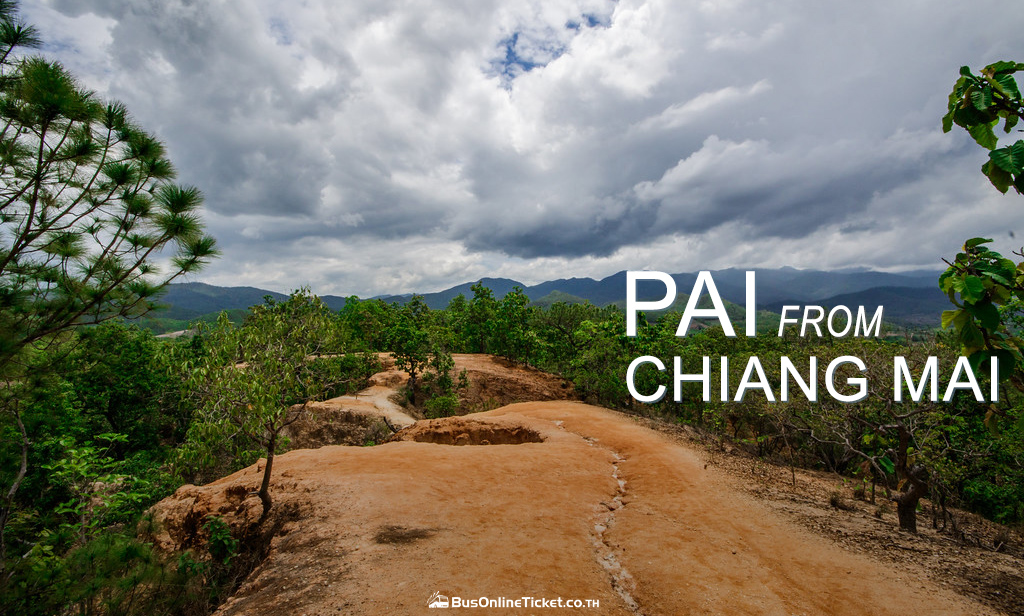 Pai from Chiang Mai