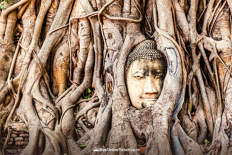 Wat Mahathat, Ayutthaya
