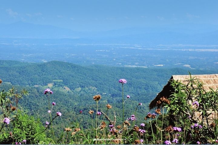 สวนดอกไม้ม่อนแจ่ม