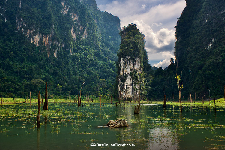 Khao Sok National Park