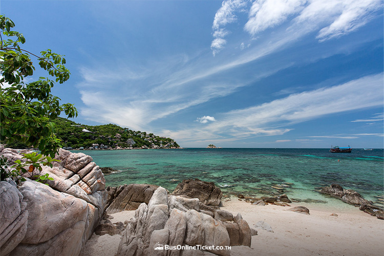 Shark Bay Snorkeling
