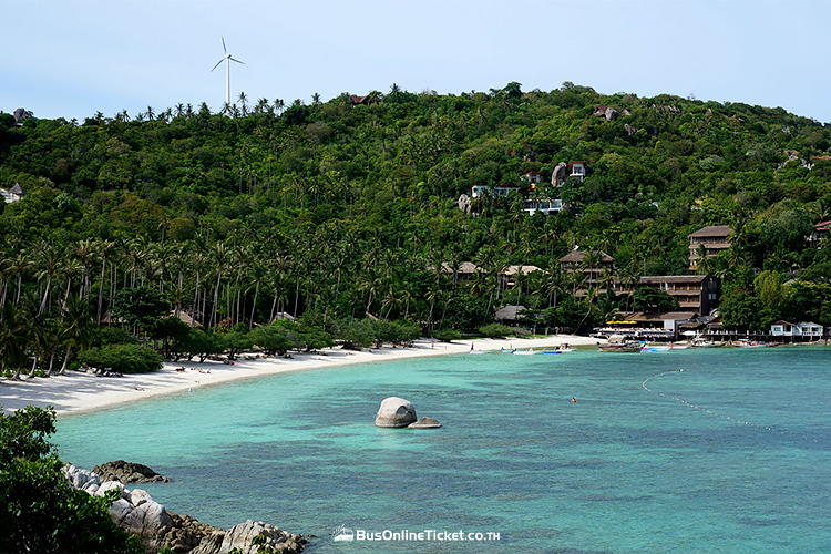 Shark Bay Koh Tao
