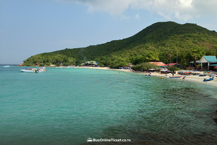 เกาะล้าน (Koh Larn)