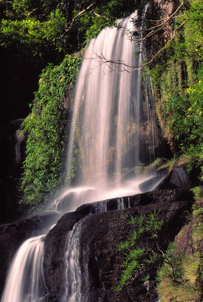 Khlong Chao Waterfall Koh Kood