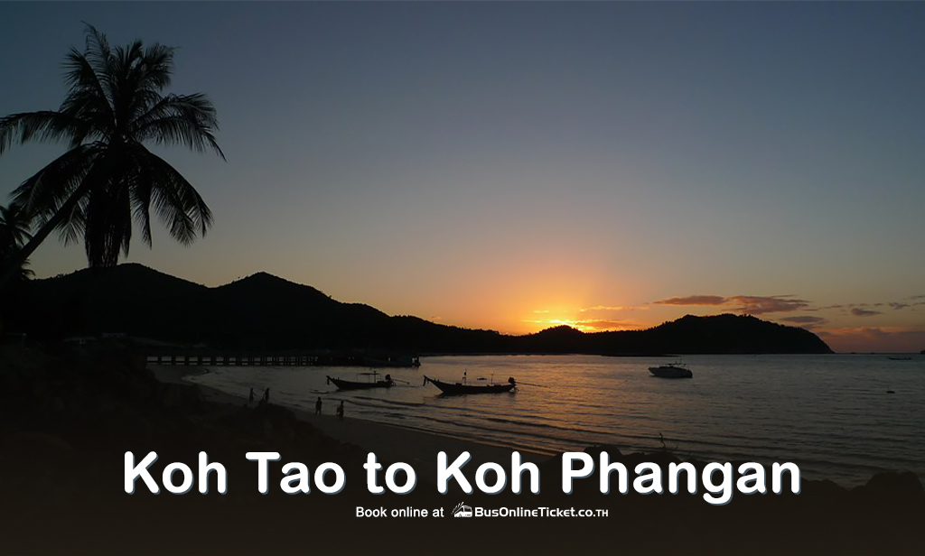 Koh Tao to Koh Phangan