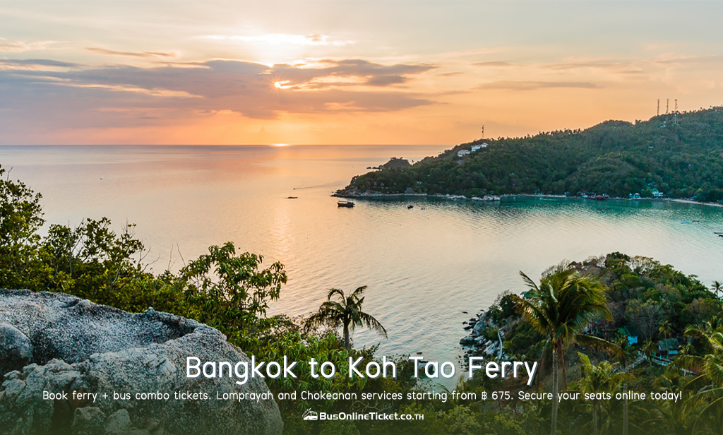 Bangkok to Koh Tao Ferry