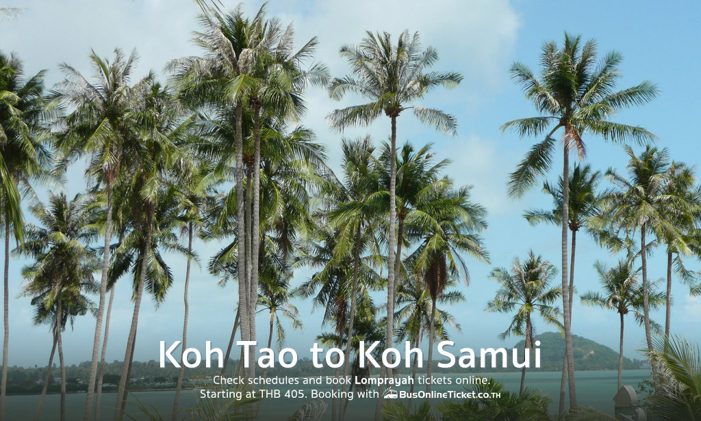 Koh Tao to Koh Samui